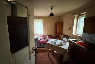 Casa la tara l teren 6600 MP l Aschileu Mare - 4