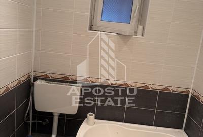 Casa individuala cu teren mare in Remetea Mare - 14