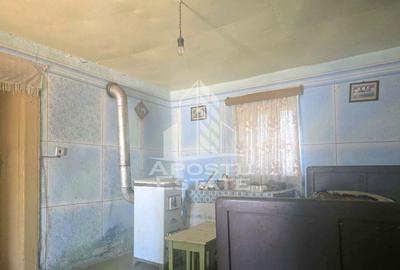 Casa cu teren in localitatea Simand - 7