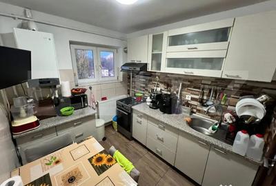 Apartament cu 2 camere semidecomandat, mobilat în Brazda lui Novac - 8