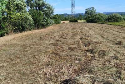 Teren de 3200 mp, în Culcea - 3