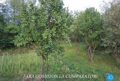 OLANESTI, CASA NOUA, TEREN 1389 MP - 17