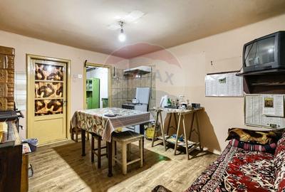Casa solida cu 4 camere, demisol si garaj - Pecica - 20