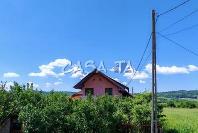 Casă individuală cu 4 camere cu Teren 4037 Mp în Samarinești - 6