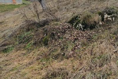 Casă în Măgura - 3