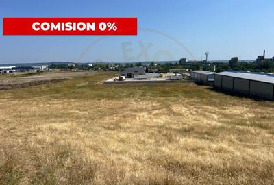 Teren intravilan 7.268 mp industrial Bradu-Auchan - 3