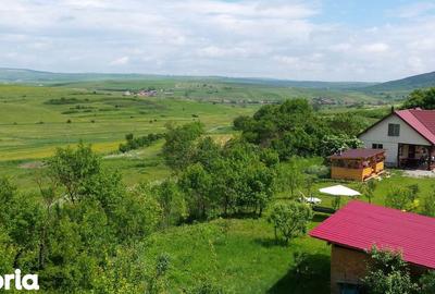 Casă cu 3 camere cu Teren 2135 Mp în Petrești - 14