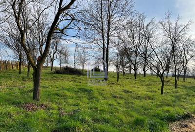 48 ari teren , cu casa batraneasca, Antoceni, Forasti, Sucea - 7