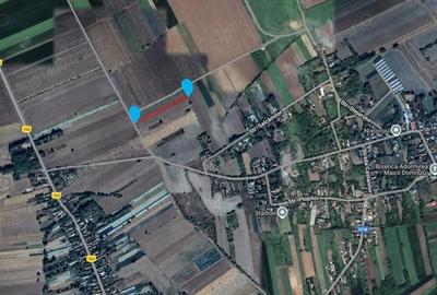 Teren de 53211 mp, în Merii Petchii - 4