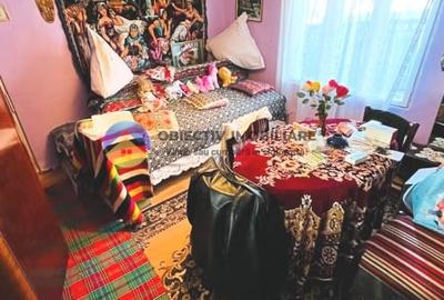 Casa traditionala cu teren de vanzare – Comuna Ștefan cel Mare - 5