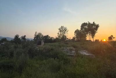 Casă cu 2 camere în Buteni - 7