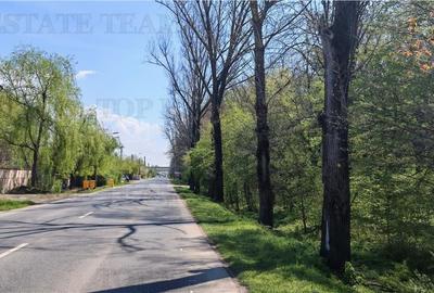 Teren constructii, 650 mp, langa padure, apa, gaze, curent, zona Ciorogarla Teren constructii, 650 mp, langa padure, apa, gaze, curent, zona Ciorogarla - 1