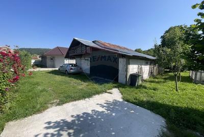 Casă cu 3 camere cu Teren 900 Mp în Roșioara - 22