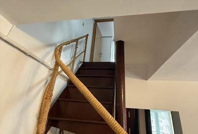 Apartament cu 3 camere decomandat în Berceni - 1