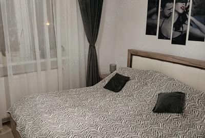 Apartament cu 3 camere decomandat în Dâmbu Pietros - 5
