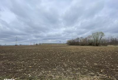 Spațiu comercial, în Central