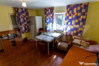 Casă cu 3 camere cu Teren 4000 Mp în Rovina (Brănișca) - 10