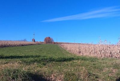 Teren, loc de casa 1800 mp - 6