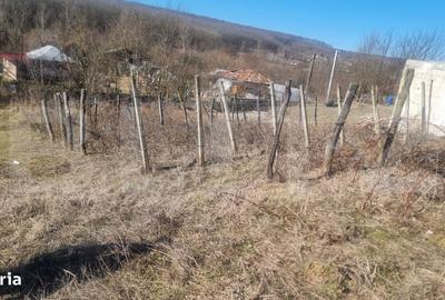 Casă cu 3 camere în Ceptura - 14