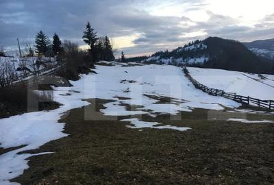 Teren de vanzare, Scarisoara, ideal pentru cabana - 3