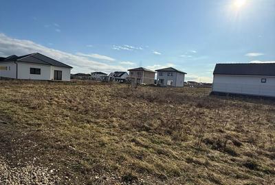 Teren de 734 mp, în Păulești - 6