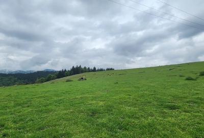 Parcele de vis in munti - Zona Arka Park, cu drum de acces si PUZ aprobat - 15