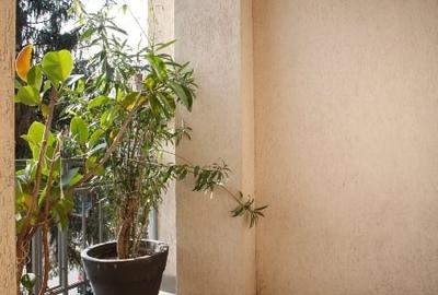 Mansardă boemă, ideală pentru industriile creative - 6