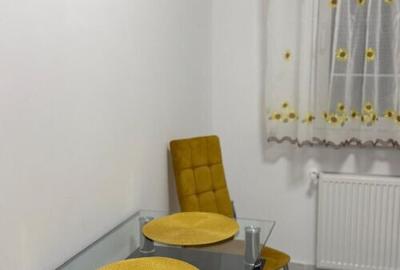 Garsonieră decomandată în Podu Roș - 8