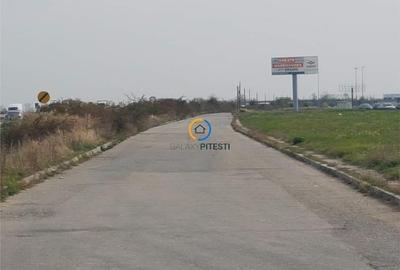 Teren Autostrada 80.000 mp, deschidere la asfalt 113 ml, langa pasarela Oarja - 6