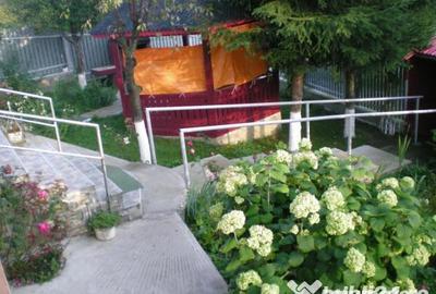 Casă cu 7 camere cu Teren 400 Mp în Greșu - 10