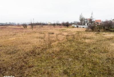 Spațiu comercial, în Calea Clujului - 3