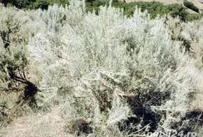 Vand apartament in Oradea - 9