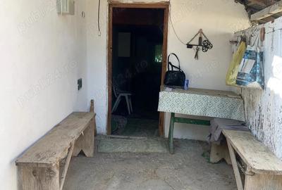 Casă cu 3 camere în Gruiu - 4