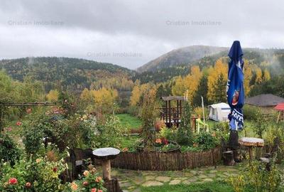 Casă cu 12 camere cu Teren 16277 Mp în Plaiu Nucului - 5