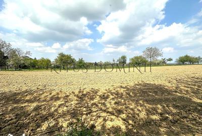 Teren de 5200 mp, în Sânmartin - 3