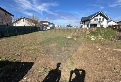 Teren Cumpana / Strada Busuiocului