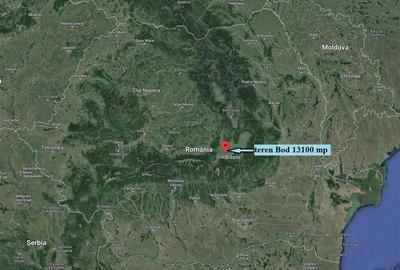 Teren agricol extravilan de 13100 mp, în Bod - 3