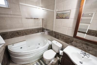 Apartament cu 2 camere semidecomandat, mobilat în Brazda lui Novac - 7