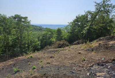 Prahova, orasul Boldesti-Scaeni, satul Seciu, teren 3007mp, d=36m - 7