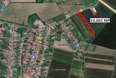 Teren de 10005 mp, în Giarmata