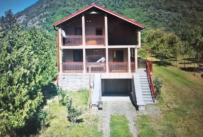 Vand casa vacanta la munte zona Herculane 165 000 - 1