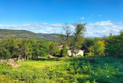 Cămin sau refugiu ? Alegerea îți aparține Cămin sau refugiu ? Alegerea îți aparține - 4