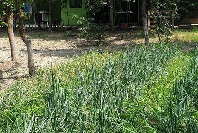 Casă individuală cu 4 camere cu Teren 1511 Mp în Adâncata - 7