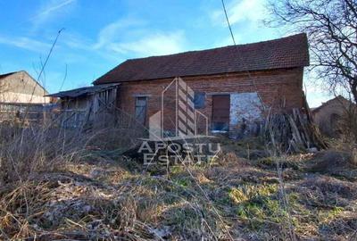 Casa de caramida in Tela si Teren Generos de 4320 mp - 2