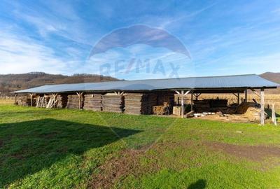 Spațiu industrial, de 650 mp, în Ribița - 10