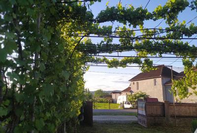 Casă cu 3 camere decomandat în Unirea - 2