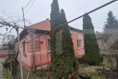 Casă cu 1 camere cu Teren 1306 Mp în Careiului - 14