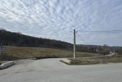 Teren de 600 mp, în Corunca - 5