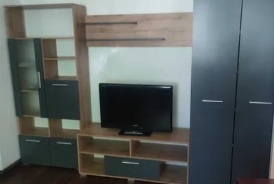 Apartament cu 2 camere semidecomandat, mobilat în Victoriei - 2
