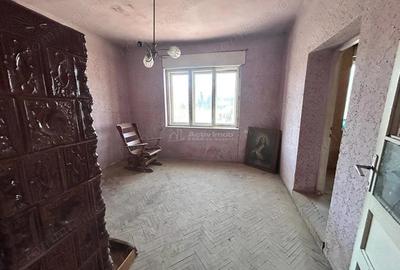 Bocsa Romana, 2 Corpuri de cladire cu Teren de 555 mp. si garaj, la sosea - 9